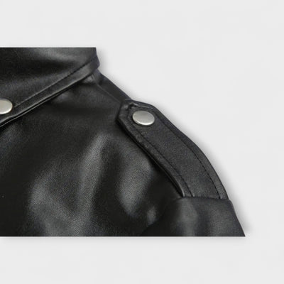 Elegant bomber jacket